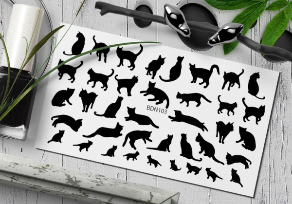 Слайдер Дизайн  BDN103 Delly Pur