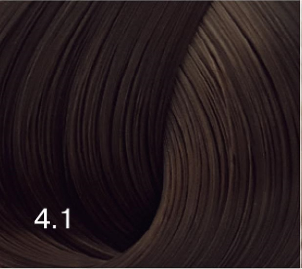 Краситель для волос 4/1 шатен пепельный Bouticle Expert Color 