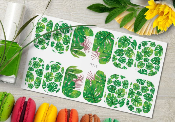 Слайдер Дизайн  T111 Delly Pur