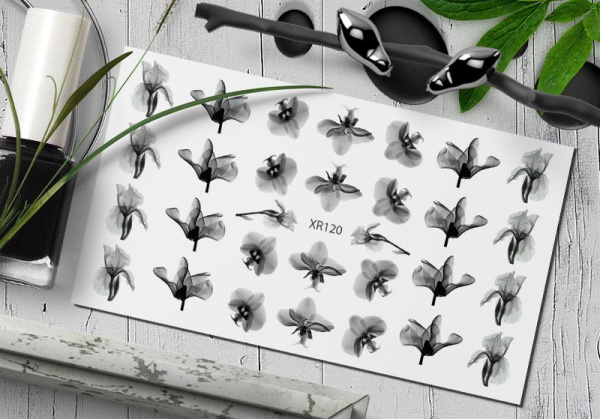 Слайдер Дизайн  XR120 Delly Pur