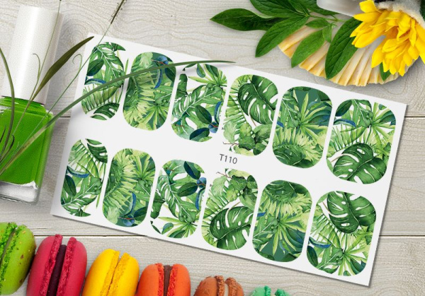 Слайдер Дизайн  T110 Delly Pur