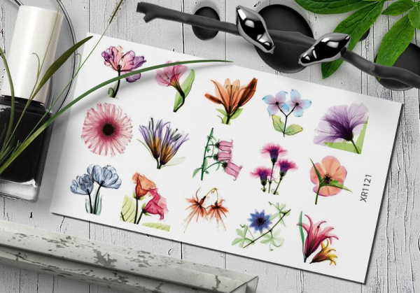 Слайдер Дизайн  XR121 Delly Pur