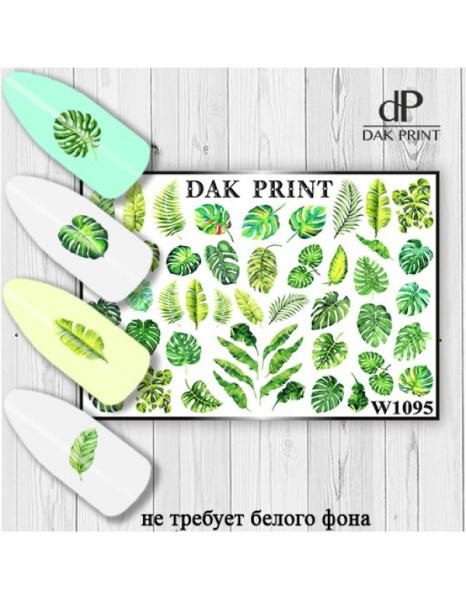 Слайдер Дизайн  W1095 Dak Print