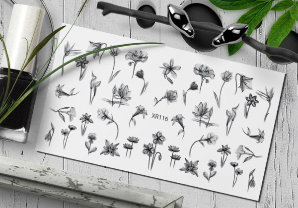 Слайдер Дизайн  XR116 Delly Pur