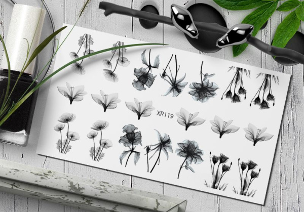 Слайдер Дизайн  XR119 Delly Pur