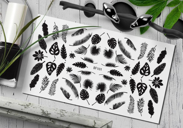 Слайдер Дизайн  BF101 Delly Pur