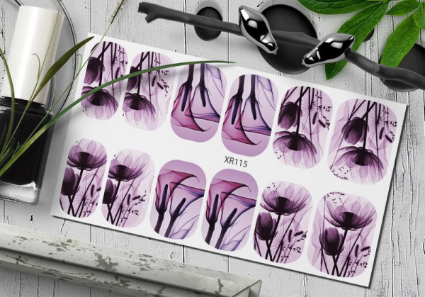 Слайдер Дизайн  XR115 Delly Pur