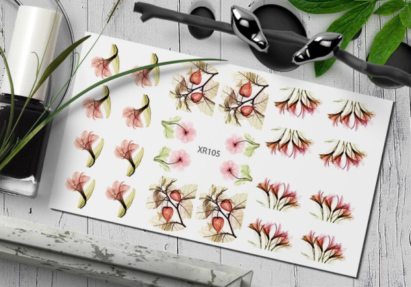 Слайдер Дизайн  XR105 Delly Pur